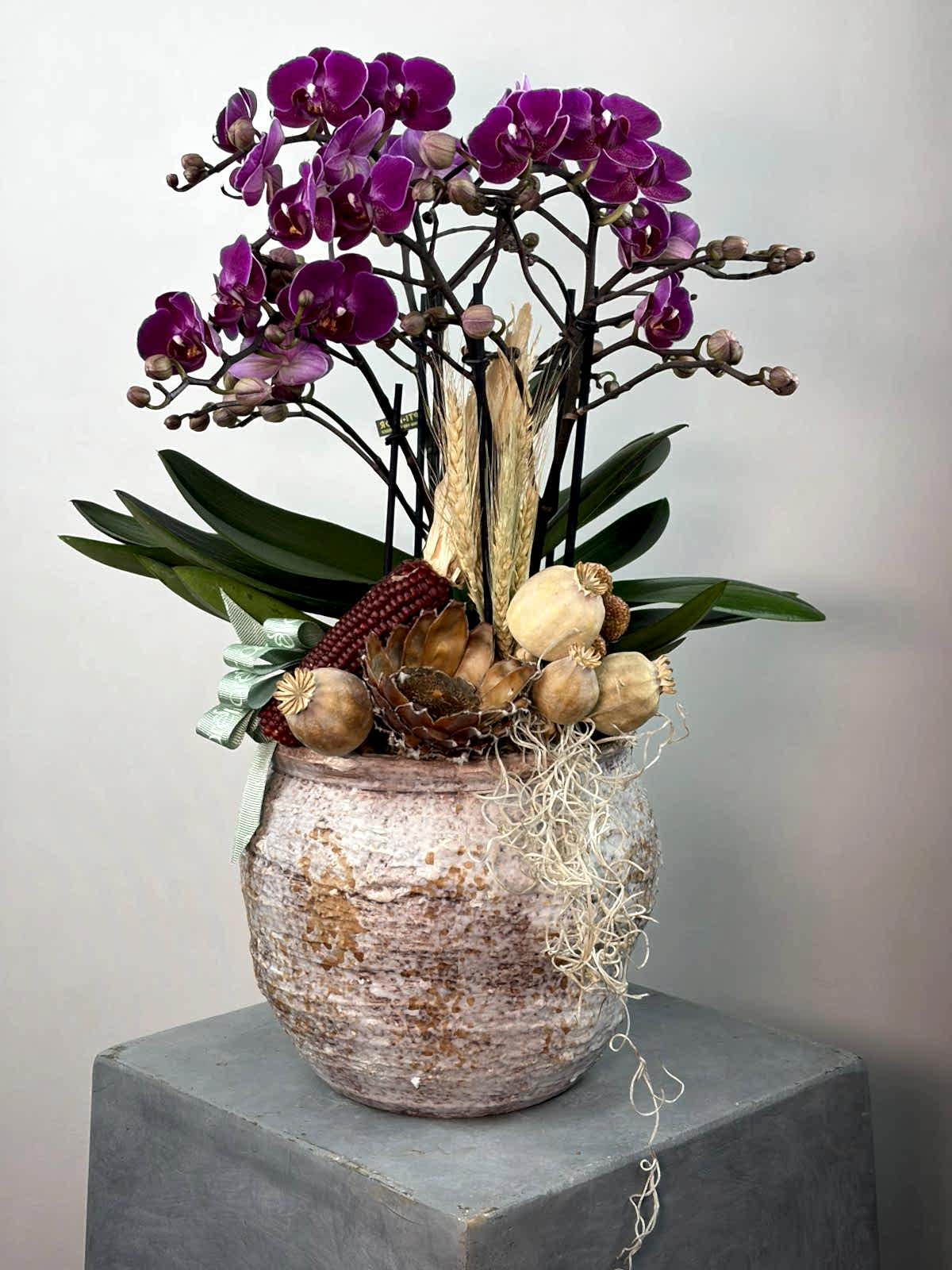 Handmade Seramik Vazoda Bellissimo Orkide