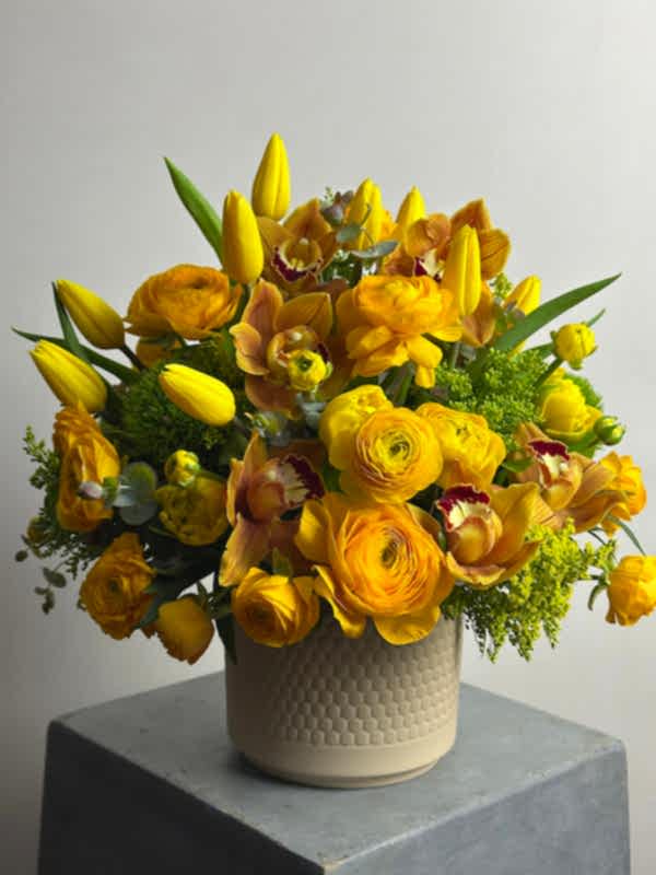 Solis Bloom