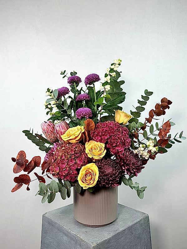 Fandango Protea Aranjman
