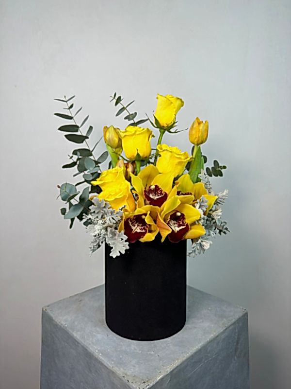 Siyah Kutuda Cymbidium Sarı Güller