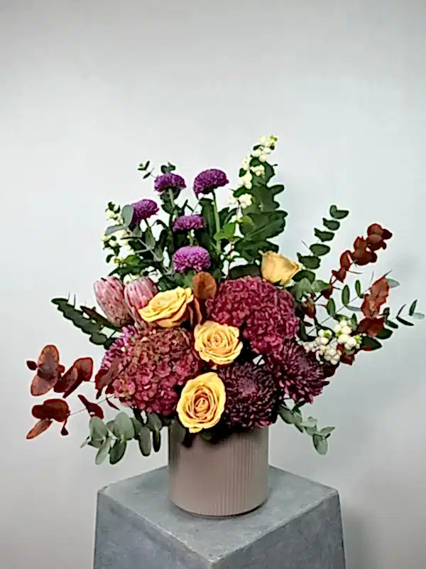 Fandango Protea Aranjman