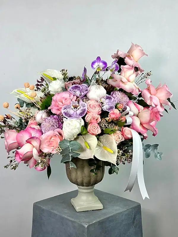 Mignon Deluxe Aranjman