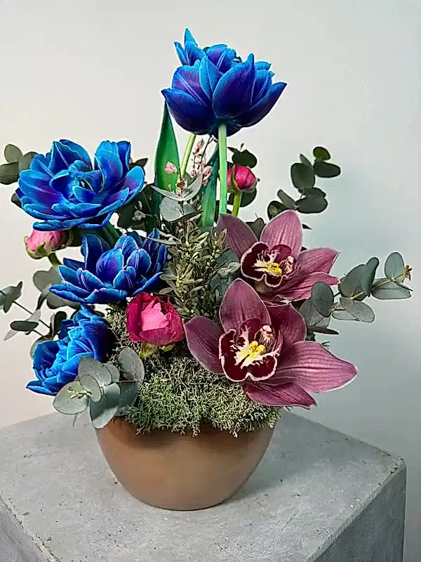 Nami Rose Vazoda Kozmik Laleler